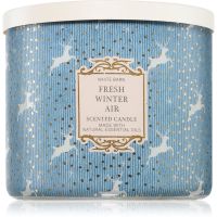 Bath & Body Works Fresh Winter Air aроматична свічка 411 гр