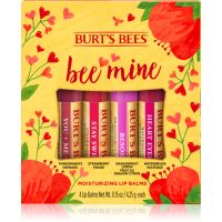 Burt’s Bees Bee Mine бальзам для губ з бджолиним воском присмак Pomegranate, Strawberry, Dragonfruit Lemon, Watermelon 4x4.25 гр