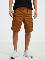 Diesel Shorts Braun