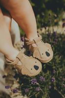 Kožené topánky pre bábätká Donsje Spark Classic Shoes Koala
