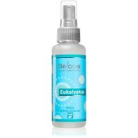 Saloos Air Fresheners Eucalyptus oсвіжувач для дому 50 мл