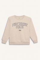 DEFACTO Boy Regular Fit Crew Neck Printed Sweatshirt