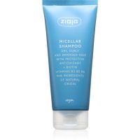 Ziaja Antioxidant Care Micellar Shampoo čistilni šampon 200 ml