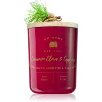DW Home Farmhouse Cinnamon Clove & Cypress Duftkerze 445 g