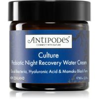 Antipodes Culture Probiotic Night Recovery Water Cream intensive Nachtcreme zur Revitalisierung der Haut mit Probiotika 60 ml