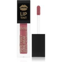 Delia Cosmetics Lip Tint Matter Flüssig-Lippenstift Farbton 010 NUDE ROSE 5 ml