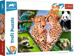 Krása prírody / Discovery Animal Planet - puzzle z kategorie Do 500 dílků