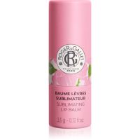 Roger & Gallet Rose Sublimating Lip Balm бальзам для губ 3.5 гр