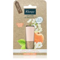 Kneipp Apricot & Marula Lippenbalsam 4,7 g