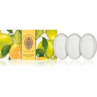 La Florentina Boboli Citrus Hand Soap Set fester Seifen Zitruspflanze 3x150 g