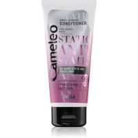 Delia Cosmetics Cameleo Anti Static glättende Conditioner 200 ml