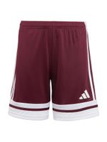 ADIDAS PERFORMANCE Sportske hlače 'Squadra 25'  crvena / bijela