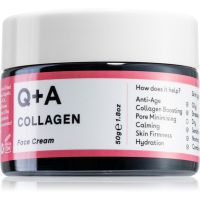 Q+A Collagen verjüngende Gesichtscreme 50 g