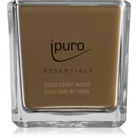 ipuro Essentials Cedar Wood mirisna svijeća 125 g