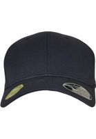 Flexfit 110 Organic Cap dark