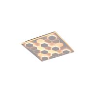 Cinque STROPNÉ LED SVIETIDLO, 55/55/7,5 cm