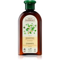 Green Pharmacy Birch Tar & Zinc Shampoo Shampoo gegen Schuppen 350 ml