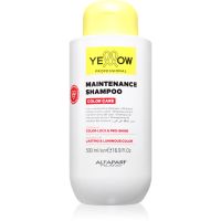 Yellow Professional Color Care Maintenance Shampoo Shampoo für gefärbtes Haar 500 ml