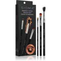 Sigma Beauty Brush Set Perfect Eyes Pinselset für Augen und Augenbrauen