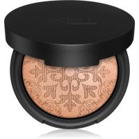 Aden Cosmetics Terracotta Baked Glowing Bronzing Powder bronz puder odtenek 01 7 g