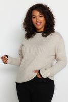 Trendyol Curve Beige Corded Collar Stripe Detailed Knitwear Sweater