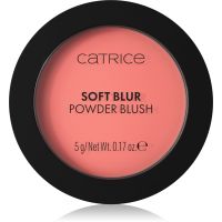 Catrice Soft Blur Powder Brush Puderrouge mit Matt-Effekt Farbton 040 Pink Positive 5 g