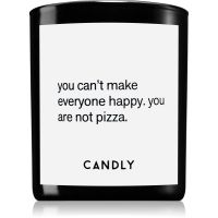 Candly & Co. You can't make everyone happy vonná sviečka 250 g