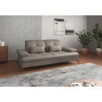 Sit & More 2,5-MIESTNA POHOVKA, sivá, kombinácia pravá koža/látka