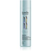 Londa Professional Calm sanftes Shampoo für empfindliche Kopfhaut 250 ml