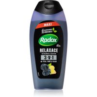 Radox Men Feel Wild Duschgel für Gesicht, Körper und Haare für Herren 400 ml