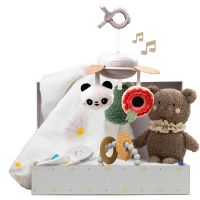 Taf Toys Luxury Newborn Kit подарунковий набір для малюків до року
