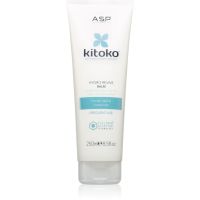 ASP kitoko Hydro - Revive Conditioner zur täglichen Anwendung für das Haar 250 ml