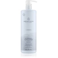 Paul Mitchell Awapuhi Wild Ginger HydraSoft Condicioner feuchtigkeitsspendender Conditioner 1000 ml