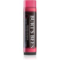 Burt’s Bees Tinted Lip Balm balzam za ustnice odtenek Hibiscus 4.25 g