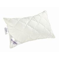 Sleeptex VANKÚŠ POD HLAVU, 40/60 cm