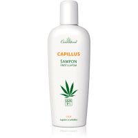 Cannaderm Capillus Anti-Dandruff Shampoo korpásodás elleni sampon kender olajjal 150 ml