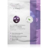 Apis Natural Cosmetics Home Spa hydratačná plátienková maska na tvár 20 g