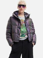 Desigual Re Winter jacket Siv