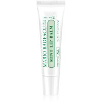 Mario Badescu Mint Lip Balm ultra-nährender Balsam für die Lippen 10 g