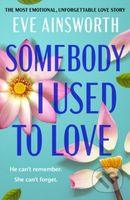Somebody I Used to Love (The most emotional, unforgettable love story) - kniha z kategorie Romantika