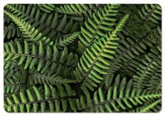 Bertoni Home Unisex's Rectangular Table Pad Ferns