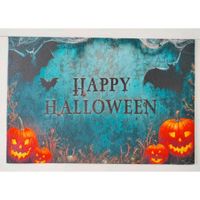 DVEŘNÍ ROHOŽKA, 40/60 cm