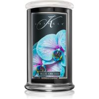 Kringle Candle Reserve Blue Orchid Duftkerze 624 g