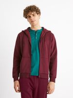 Celio Vethree Sweatshirt Rot