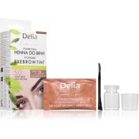 Delia Cosmetics Eyebrow Expert тонуюча фарба для брів відтінок 5.0 Light Brown 4 гр