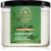 Bath & Body Works Eucalyptus Spearmint aроматична свічка 411 гр