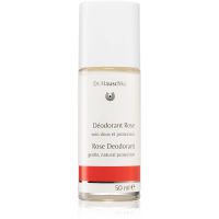 Dr. Hauschka Body Care rózsa dezodor roll-on 50 ml