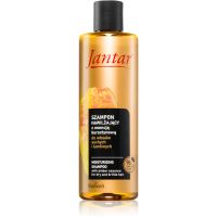 Farmona Jantar Amber Essence hydratisierendes Shampoo für trockenes Haar 300 ml