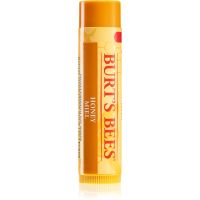 Burt’s Bees Lip Care balzam za ustnice z medom (with Honey & Vitamin E) 4,25 g