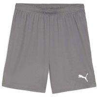 Puma TEAMGOAL SHORTS Дамски футболни шорти, сиво, размер